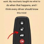 Senior Driving Licence: A Complete Guide to Obligations and Aptitude Tests for Older Drivers