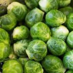 12 natural ingredients packed with melatonin for peaceful nights