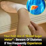 The best homemade collagen with few ingredients