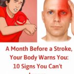 The Real Causes of Constant Phlegm and Mucus in Throat and How to Get Rid of It