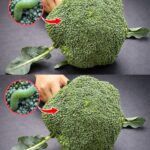 7 silent ailments that appear a year before D:Eath