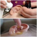 7 silent ailments that appear a year before D:Eath