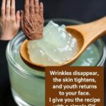 It removes kidney stones, dissolves gravel, and relieves urinary tract infections