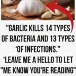 How to Clean Black Mold from a Refrigerator Gasket in Minutes