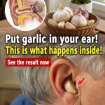 Natural Remedies for Earache and Ear Infections: Safe Ways to Find Comfort at Home