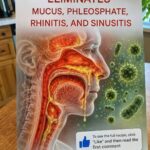 Natural Remedies for Earache and Ear Infections: Safe Ways to Find Comfort at Home